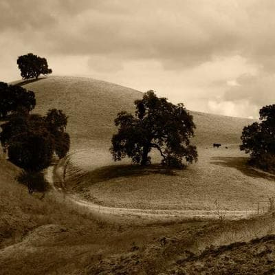 CloudValley Webcam Cover