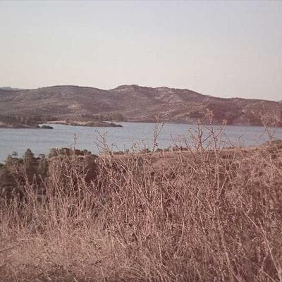 Final Audio Type E