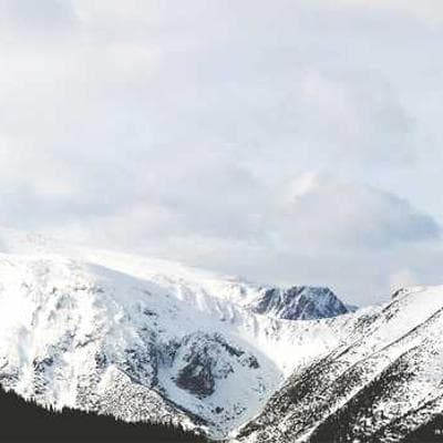 Honda FG110 Mini Tiller
