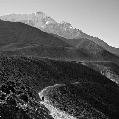 Honda HSS724AAW Two-Stage