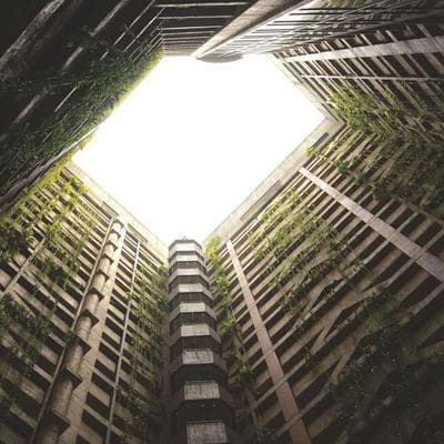 Novelkeys Cream