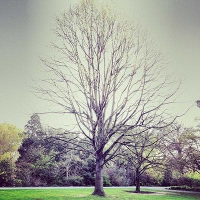 Venum Challenger 3.0 Boxing Gloves