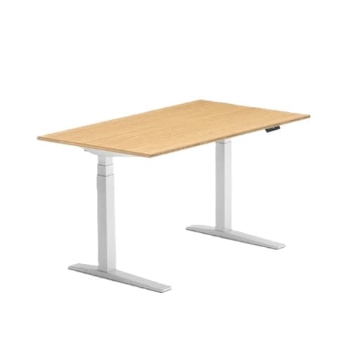 FlexiSpot E7 Pro